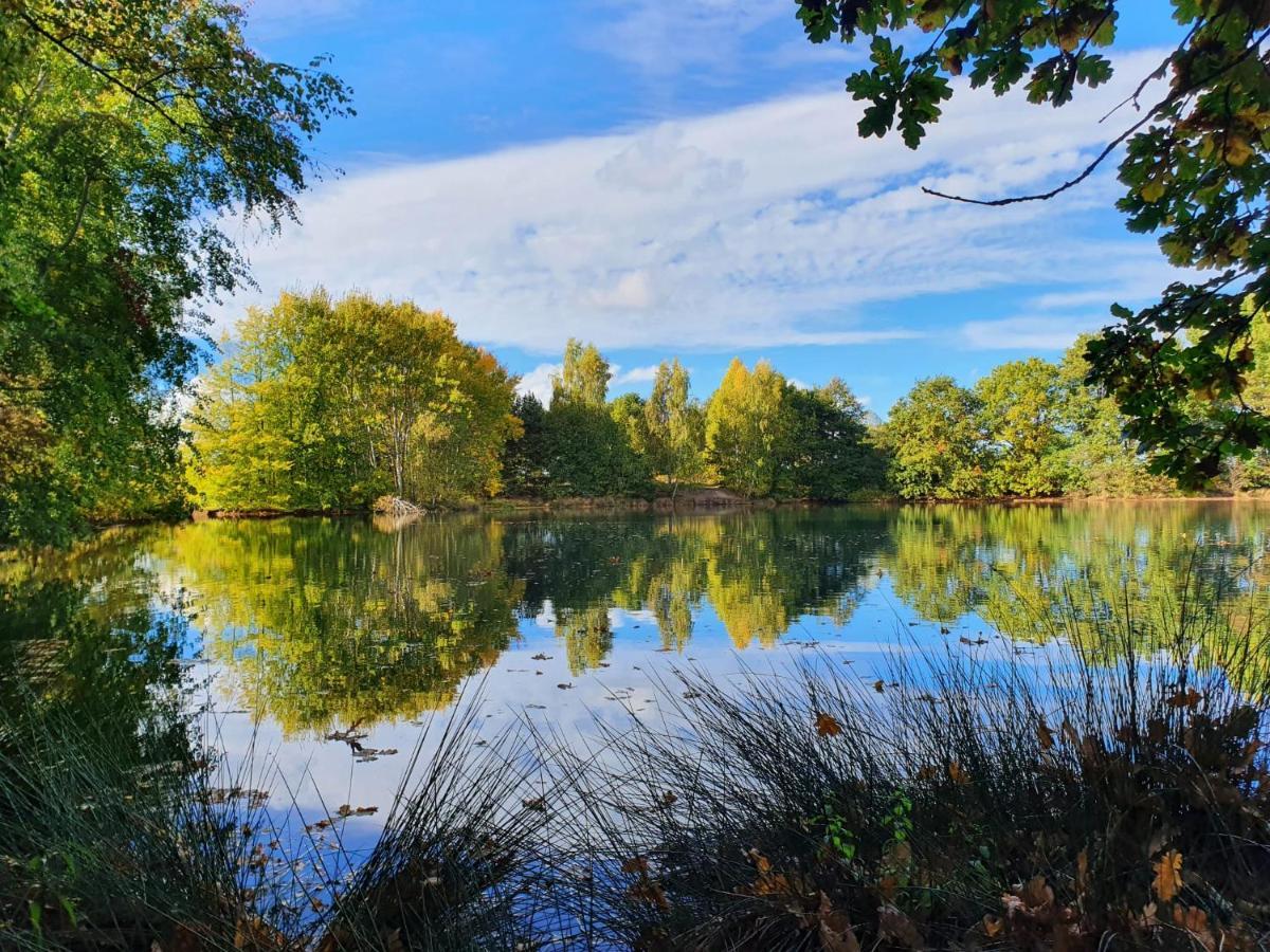 Ferienwohnung Am See Dillich - Eigener Garten - Ruhige Lage - Natur Vor Der Haustuer Borken  Eksteriør bilde