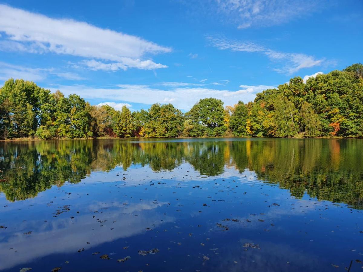 Ferienwohnung Am See Dillich - Eigener Garten - Ruhige Lage - Natur Vor Der Haustuer Borken  Eksteriør bilde