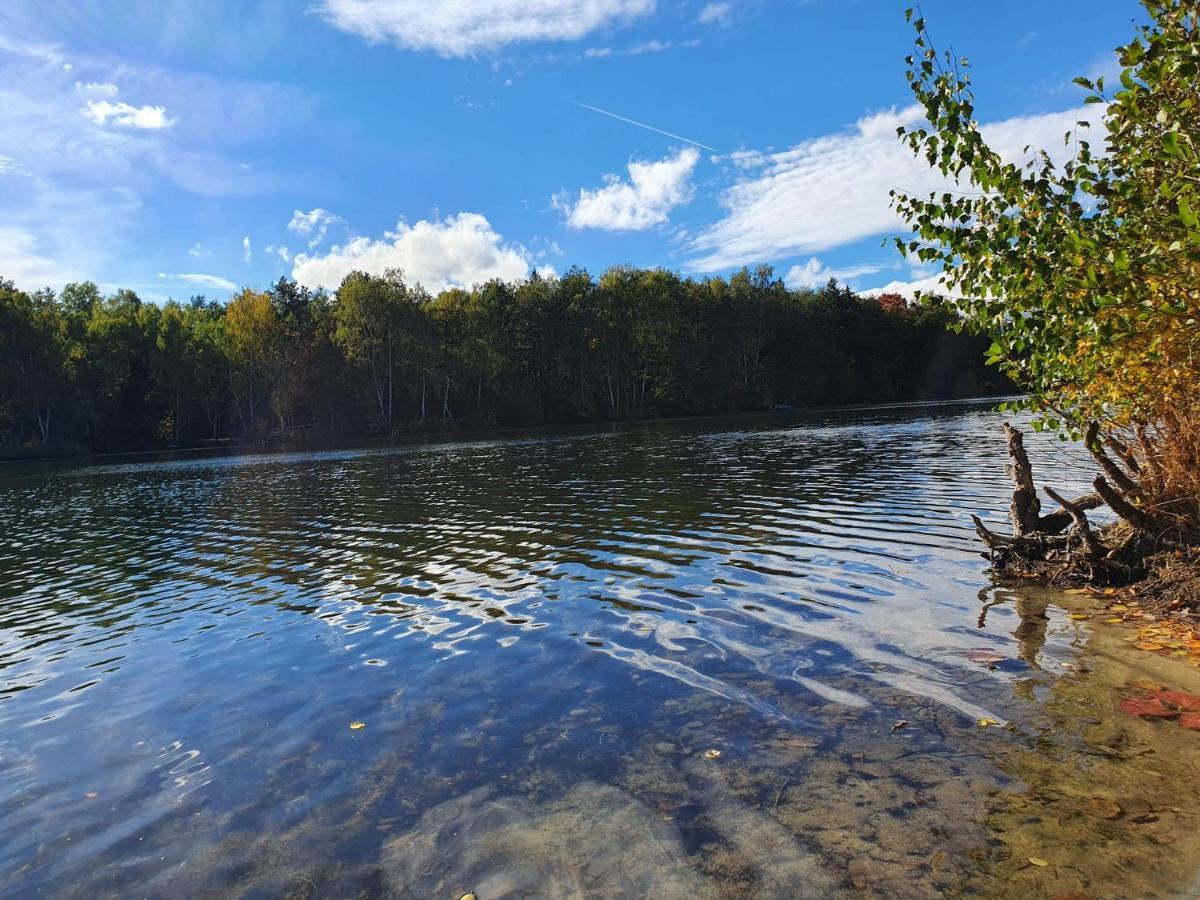 Ferienwohnung Am See Dillich - Eigener Garten - Ruhige Lage - Natur Vor Der Haustuer Borken  Eksteriør bilde