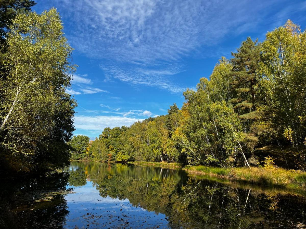 Ferienwohnung Am See Dillich - Eigener Garten - Ruhige Lage - Natur Vor Der Haustuer Borken  Eksteriør bilde
