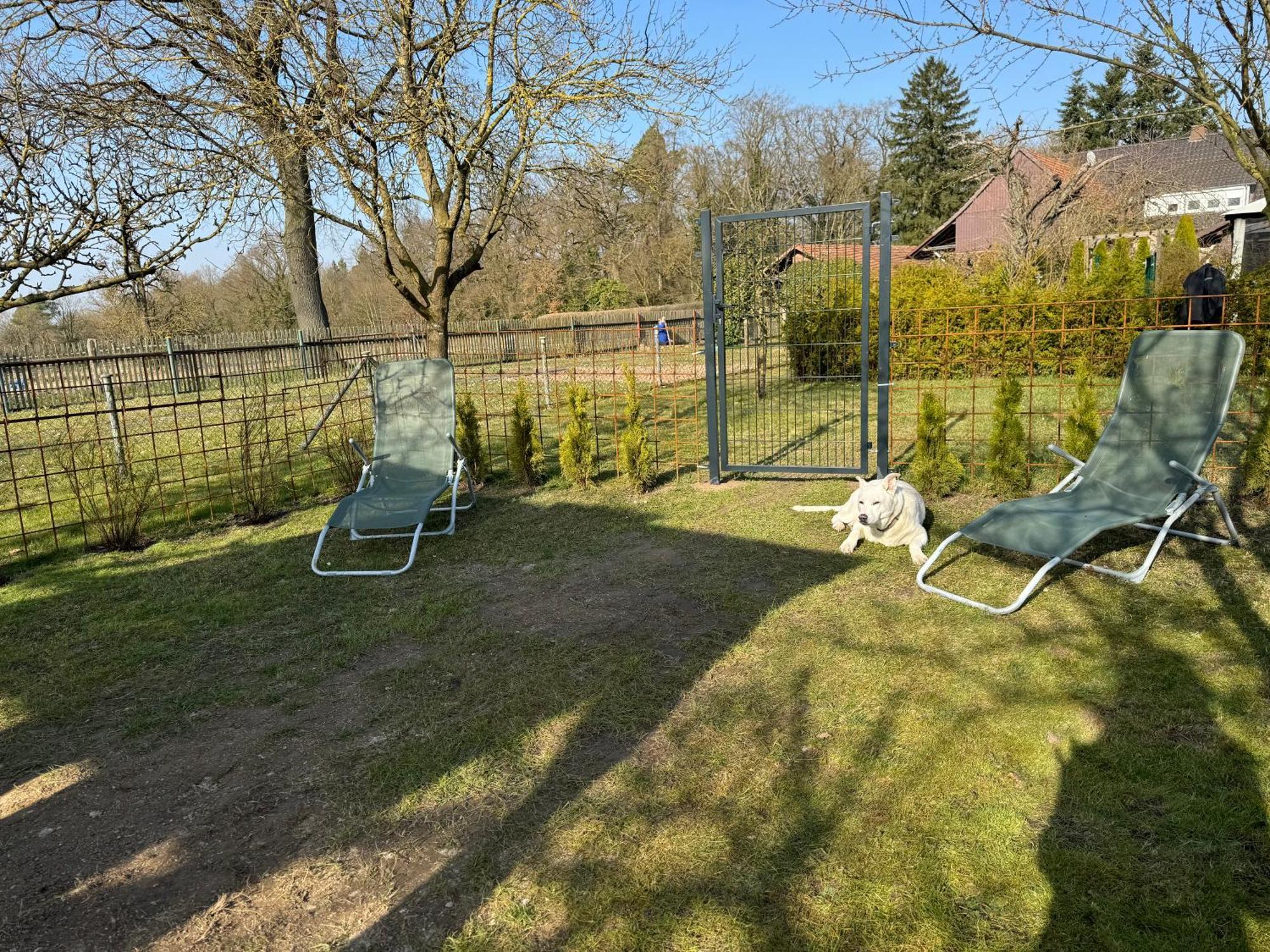 Ferienwohnung Am See Dillich - Eigener Garten - Ruhige Lage - Natur Vor Der Haustuer Borken  Eksteriør bilde